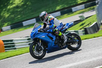 brands-hatch-photographs;brands-no-limits-trackday;cadwell-trackday-photographs;enduro-digital-images;event-digital-images;eventdigitalimages;no-limits-trackdays;peter-wileman-photography;racing-digital-images;trackday-digital-images;trackday-photos